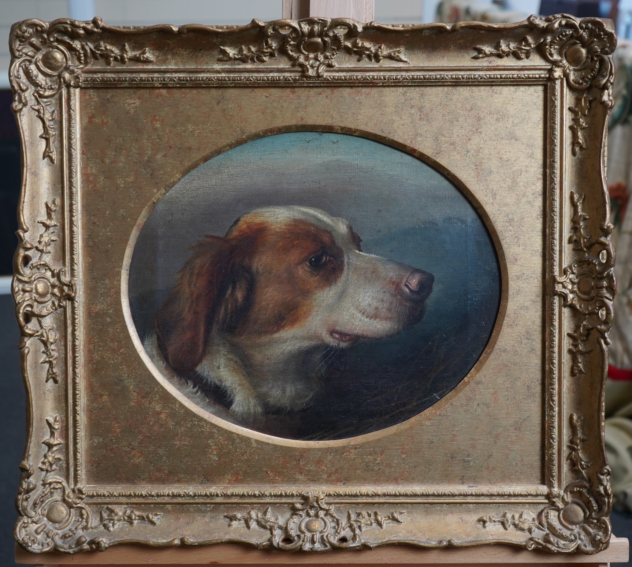 Manner of George Earl, 1824-1908, A head study of a dog